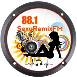 88.1SRMX ラジオ