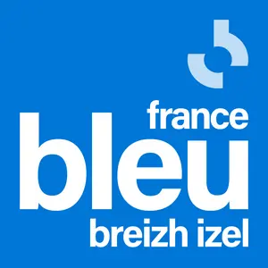 フランス・ブルー・ブレイジ・イゼル