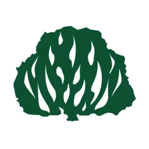 IPB2 - ブラジル長老教会